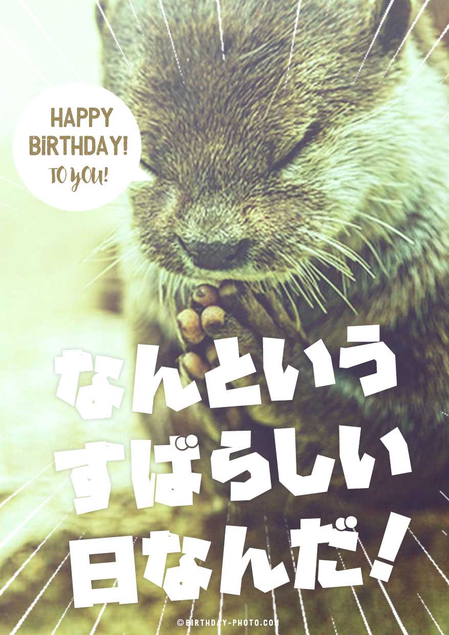 バースデーメッセージ 面白いTikTok