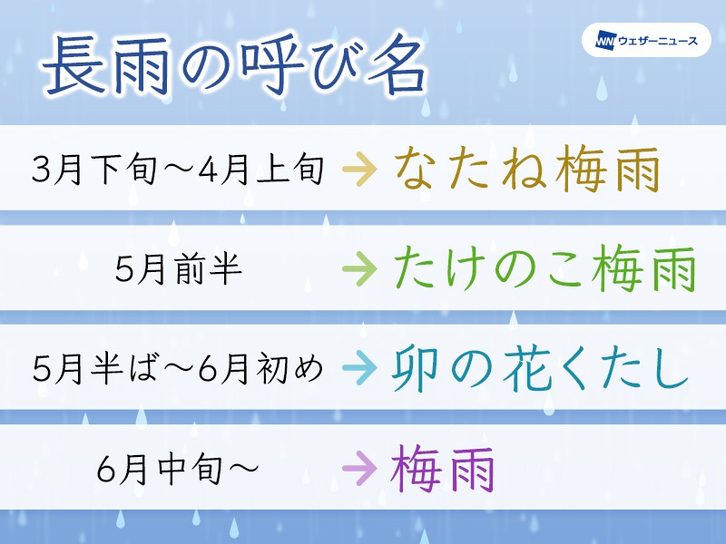 7月の手紙 時候の挨拶と季節の花の描き方 〜暑中見舞い編〜with ink. - インクにときめく、毎日を