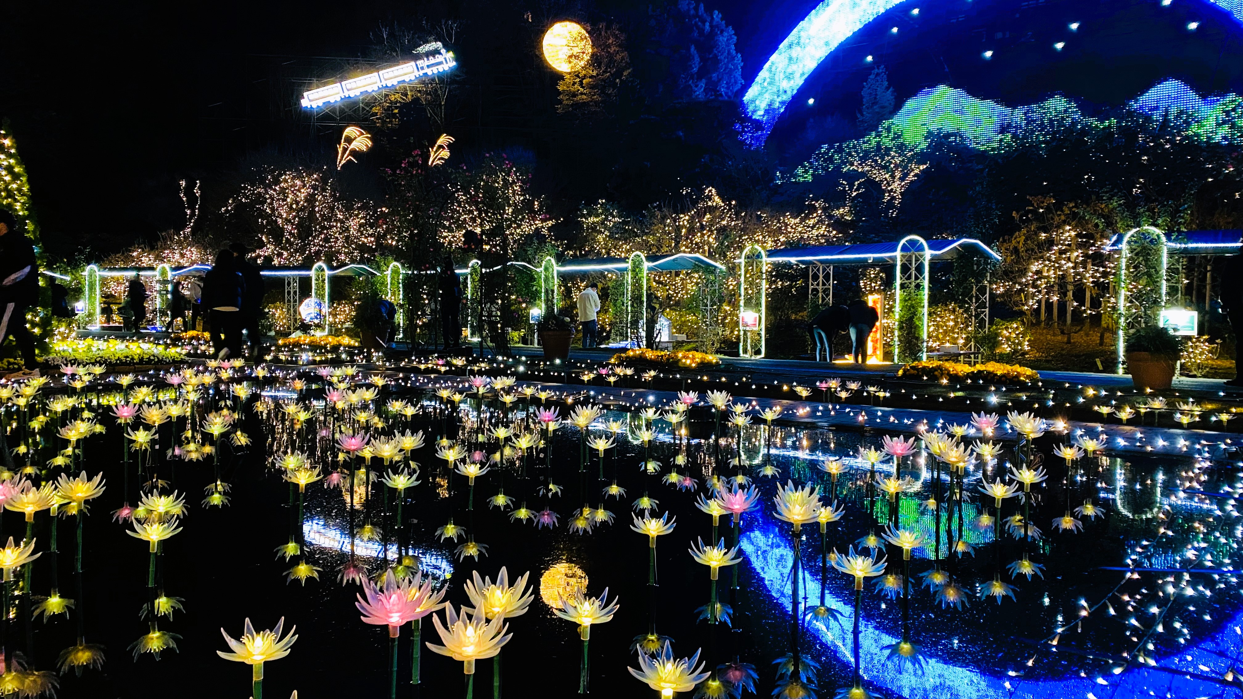 2024 10 18 スタート✨, イルミネーションイベント,光の花の庭〜Flower Fantasy2024-25 ,今シーズンの新作エリアはスノーワールド⛄️, 25メートルのイルミネーションタワーとともに心躍る幻想的な世界をお楽しみくださいませ。,ashikagaflowerpark,flowers,flowerstagram,flowerphotography,