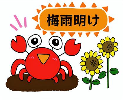 シンプル☆梅雨と夏