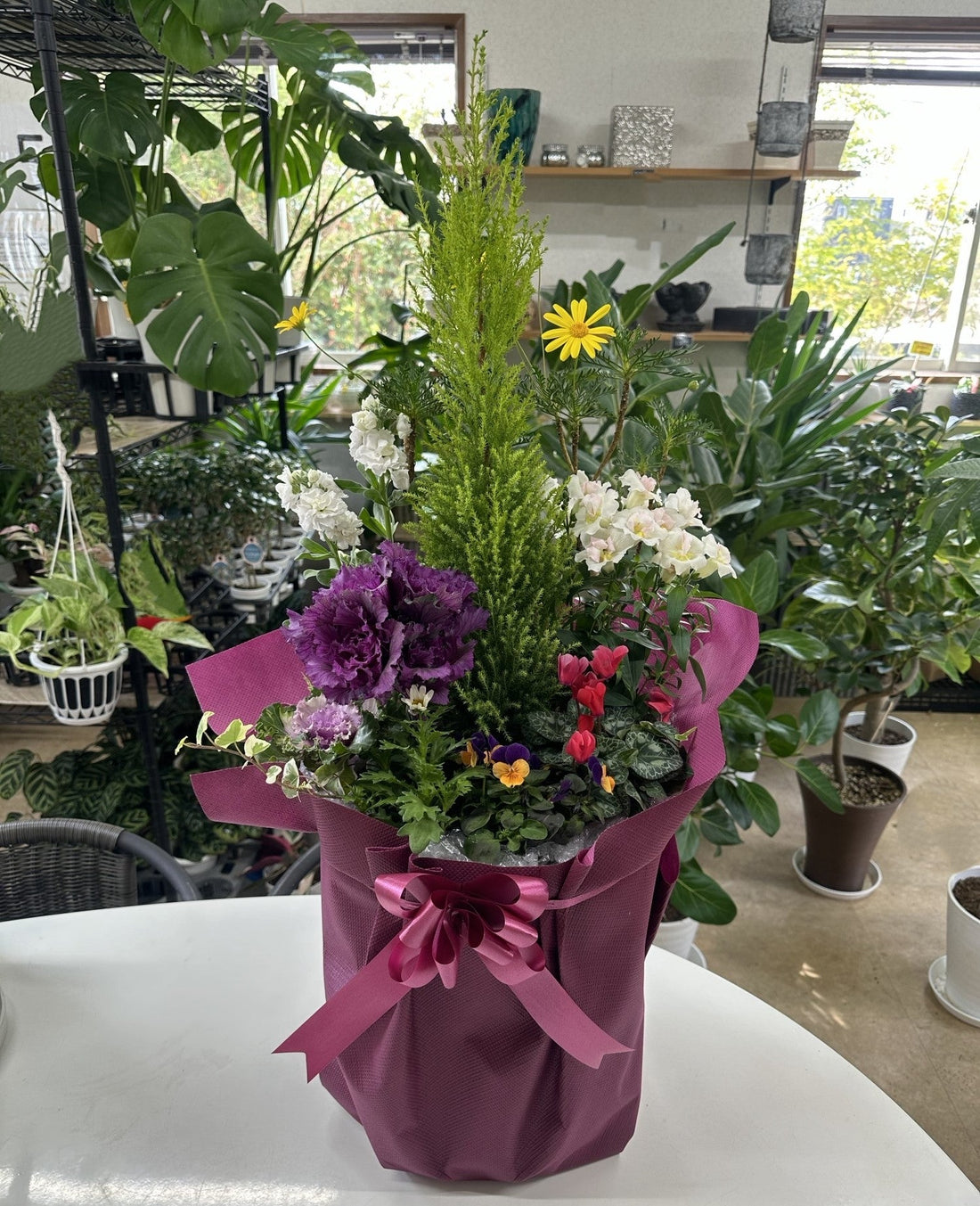 Amazon花想久里 はなおくり 松 南天 葉牡丹 寄せ植え 正月飾り付き 6.5寸 生お正月 用 玄関飾り お歳暮 ギフト に 人気 の鉢植 です。松も根が付いています観葉植物 オンライン通販