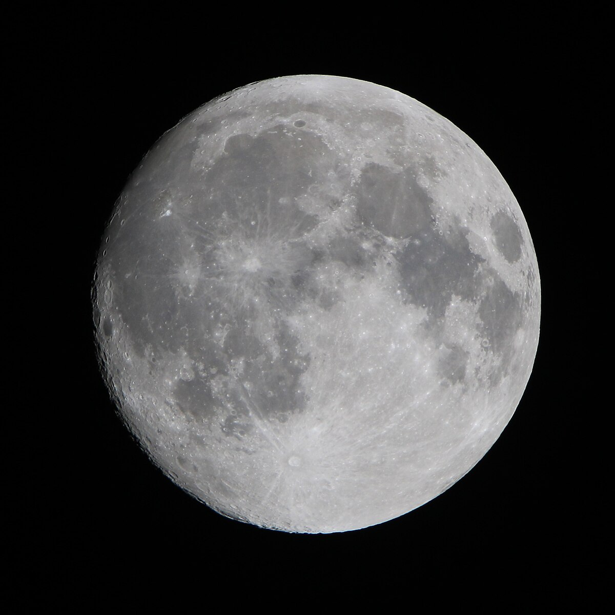 クリスマスリースの販売が始まりました。 – 西岡公園