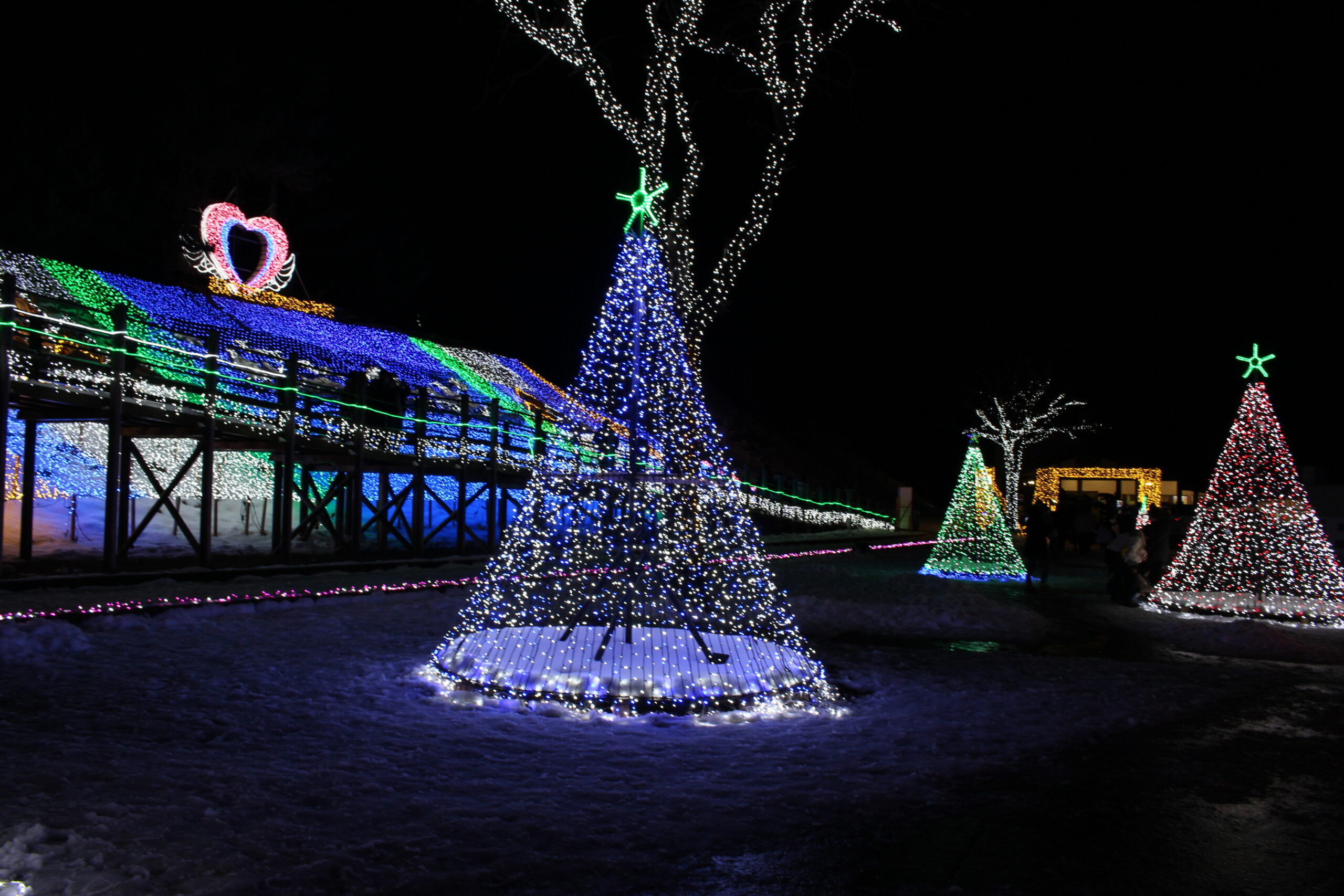 鳥取砂丘イリュージョンイベント鳥取市観光サイト 公式- 鳥取市のおすすめ観光・旅行情報