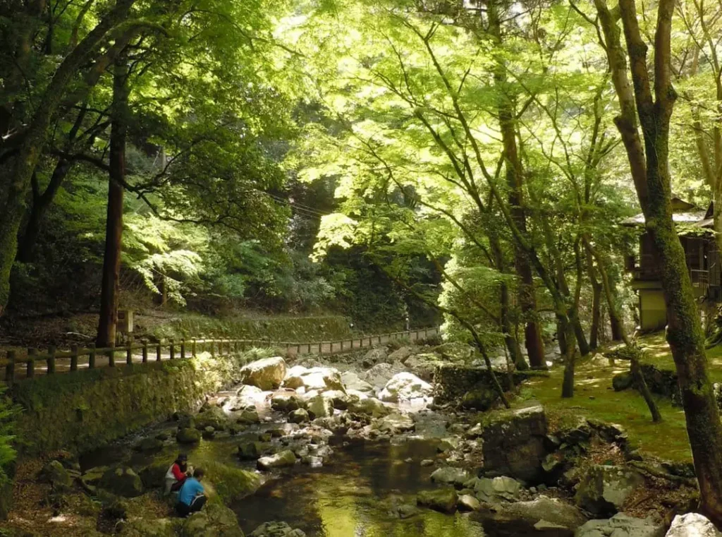 万博公園 GWに2日連続で花火大会を開催へ！観覧チケットは公式サイトにて販売中！「Enjoy EXPO」〜万博記念公園エリアの地域情報サイト