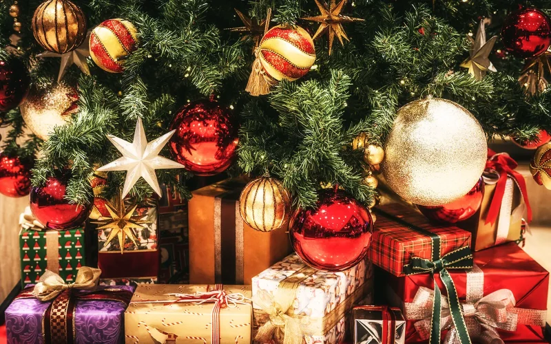 クリスマス・イブの「イブ」って何？ クリスマス・レシピサラダカフェ Salad Cafe