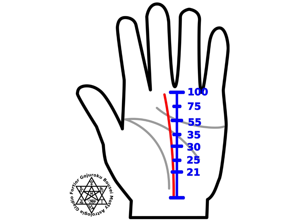 手相鑑定例 vol.1-1－運命線について奇門遁甲&九星気学の吉方位・引越し鑑定宇佐應凜 うさおうりん