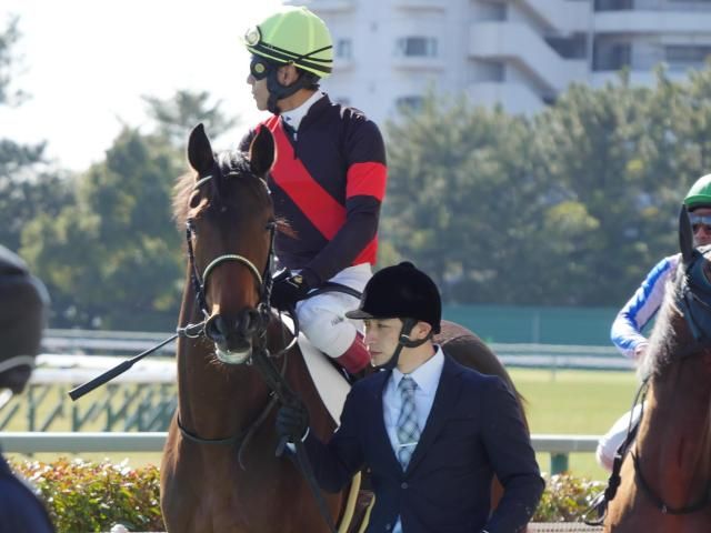 クリスマス・数量限定 キューブラスク5個入 ジョワイユ・ノエルCAFE OHZAN カフェ・オウザン のプレゼント・ギフト通販TANP タンプ