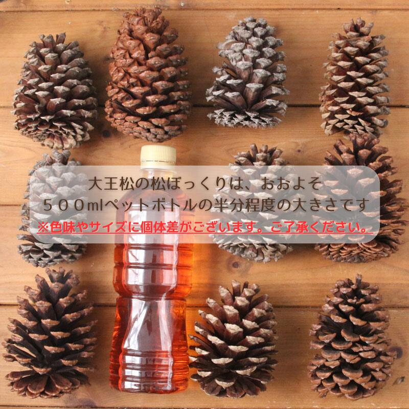 小さくて可愛い「松ぼっくりツリー」の作り方とクリスマスを彩るアレンジ3選。Craftie Style