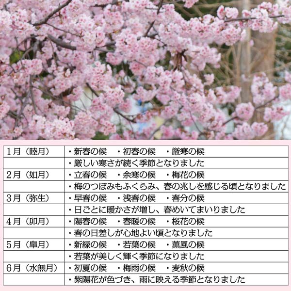 手紙の書き方・送り方ガイド手紙の書き方冠婚葬祭WEBマナー辞典