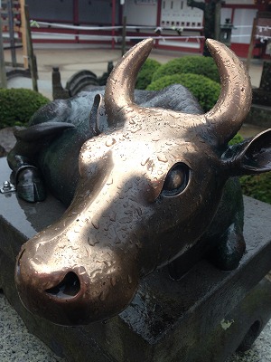 冨永朝堂氏作「御神牛像」 御祭神 菅原道真公 天神さま と牛のご縁は深く、表参道の正面にある彫刻家 冨永朝堂氏ご奉納の御神牛 をはじめ境内には11体の「御神牛像」が奉納されています。 この「御神牛像」は「なで牛」ともいわれ、体の治したい部分をなでると病が良くなり