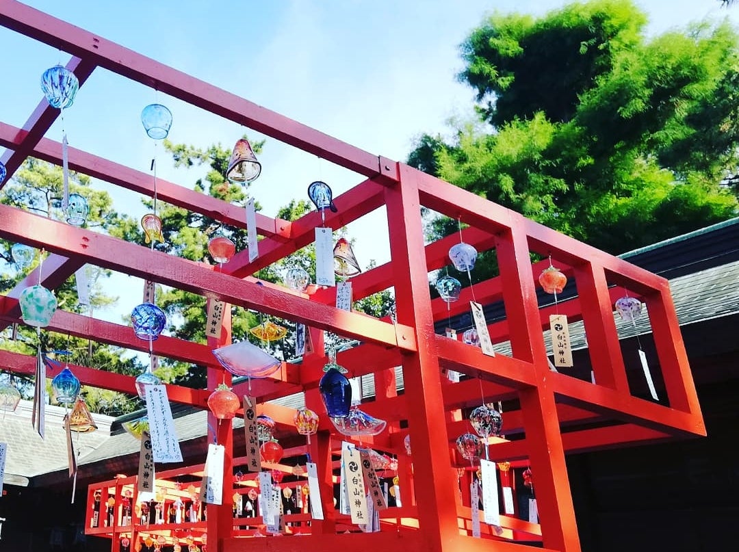 白山神社で七夕風鈴まつり開催中！色とりどりの風鈴が涼を運ぶ 白山神社新潟市中央区 夏のおすすめおでかけスポットまいぷれにいがた編集部のニュースまいぷれ 新潟市