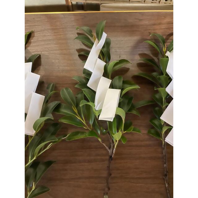 赤松紙工紙垂 しで玉串用両垂