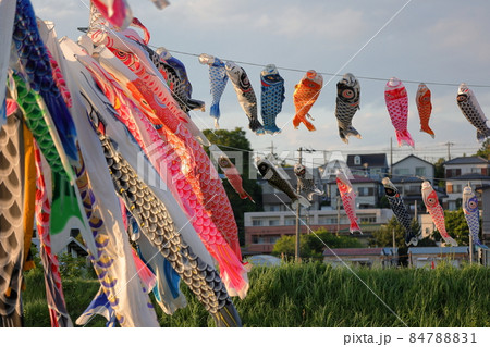 鈴川鯉のぼりまつり特別展示ひらしん平塚文化芸術ホール