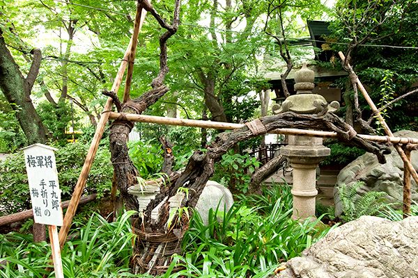 出世の石段 愛宕神社 写真素材5790966- フォトライブラリー photolibrary