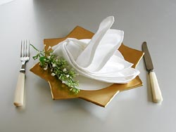 質感・カラー・折りにこだわったテーブルナプキン トーションブライダルスタッフノートペガサスキャンドル株式会社 ブライダル事業