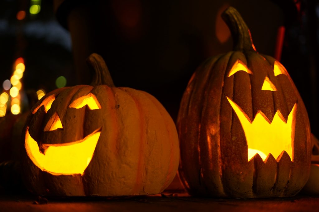 閲覧注意 ハロウィンのその後。かぼちゃランタン ジャックオランタン を30日間放置してみた。公式 トカチニッチ