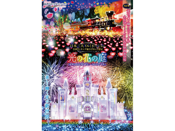 栃木・イルミネーション あしかがフラワーパーク混雑回避できる？余裕を持って楽しもう！ デート・観光- 🌸桜の流れ星🌸