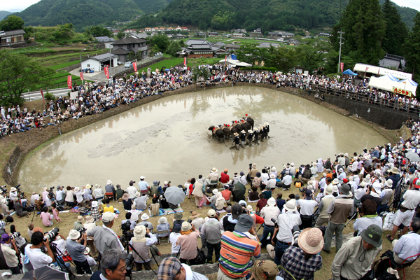 潟東おまつり広場 『どろんこカップ』新潟のイベント 公式 新潟県のおすすめ観光・旅行情報！にいがた観光ナビ