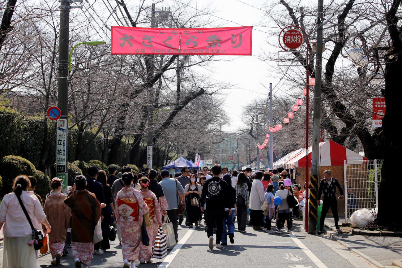 中野通り桜まつり