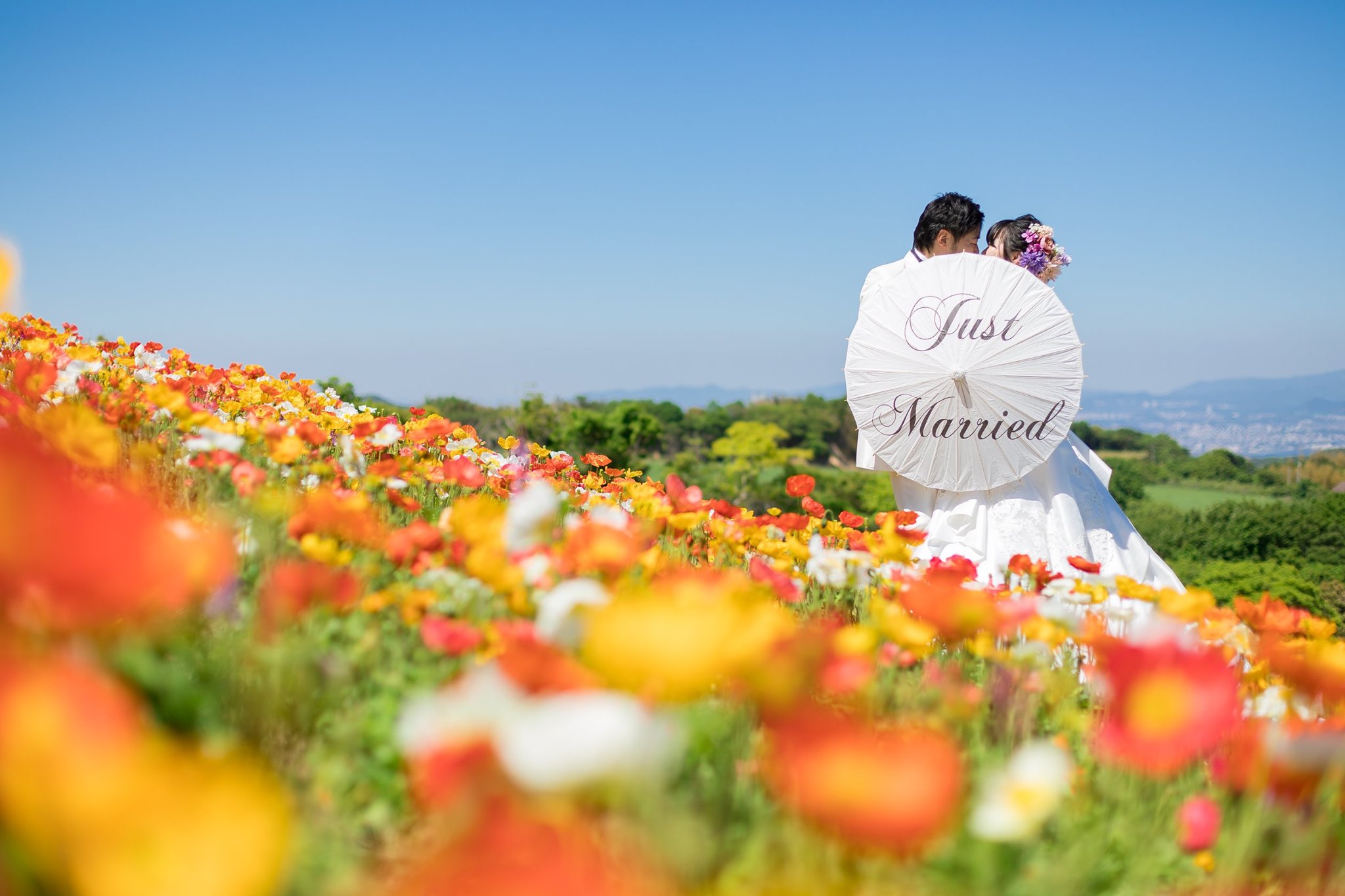 千葉の花畑でフォトウェディング・前撮りラヴィファクトリ