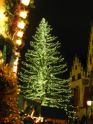 モミノキ稲沢市の愛知農園