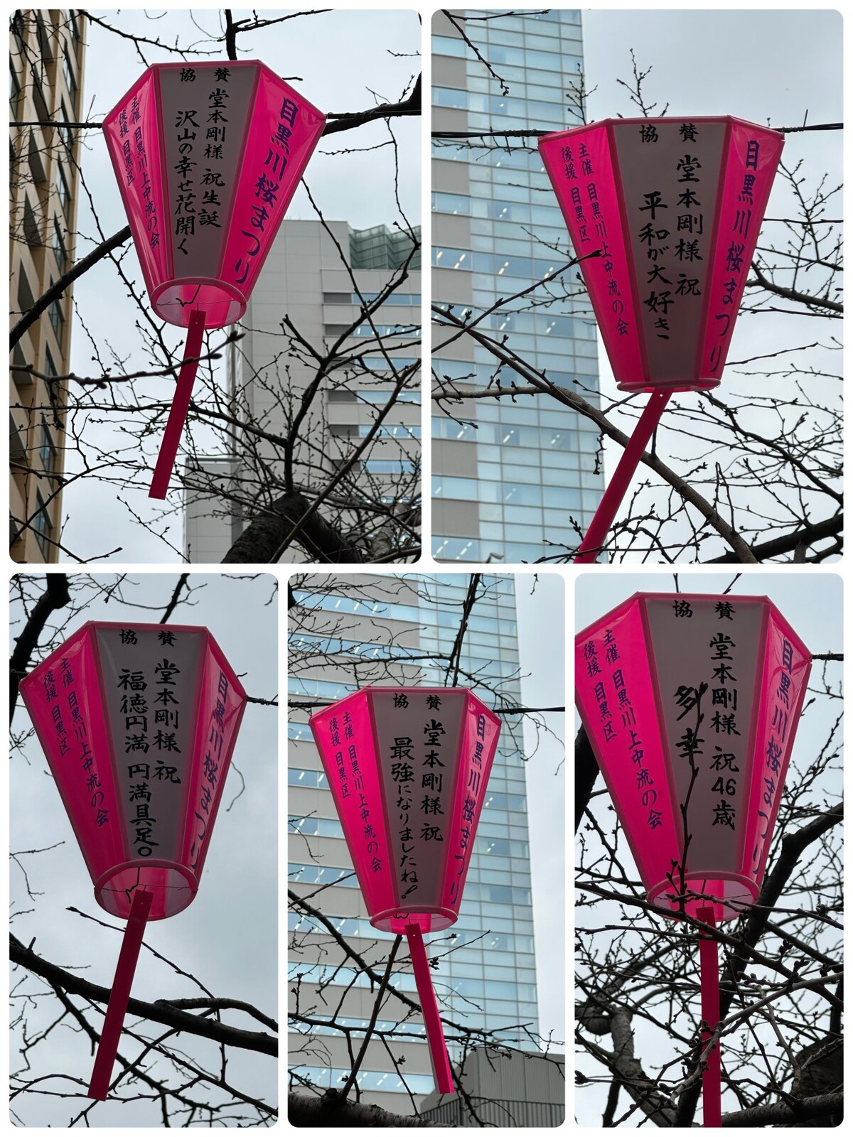 自然仏石◇天上真言経典 ◎心の平穏と浄福◎神仏の