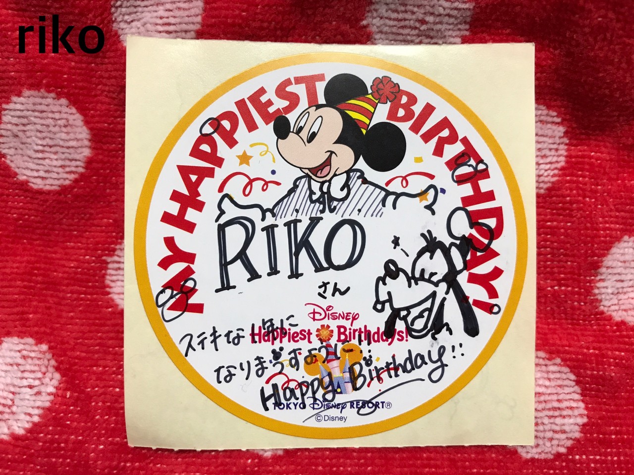 大切な人へ贈りたい ディズニーでのサプライズ13選！DRESSY 公式 ウェディングドレス・ファッション・エンタメニュース