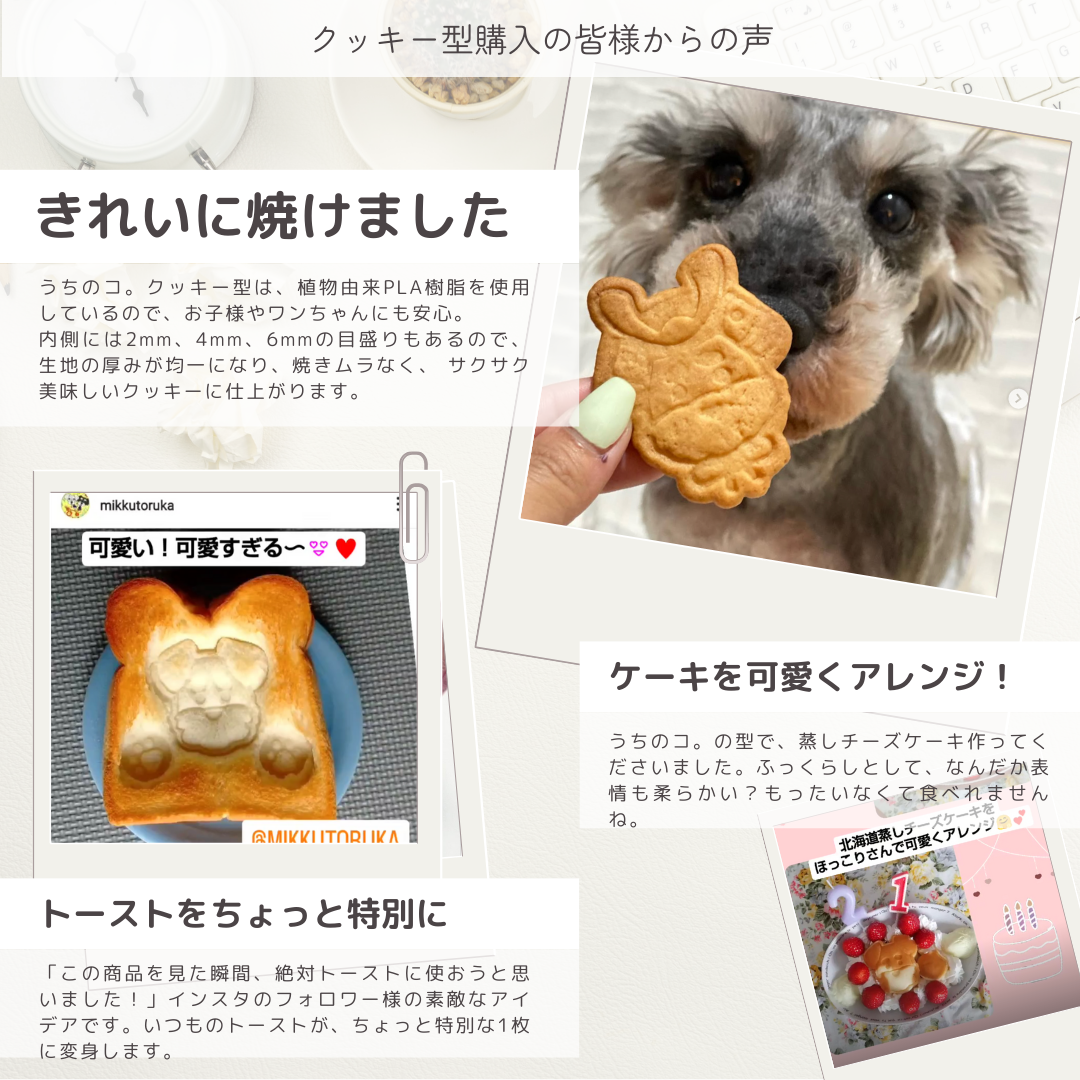 こどもの日に！柏餅のクッキー型子供の日・端午の節句・柏もち・かしわもち・和菓子Pay ID
