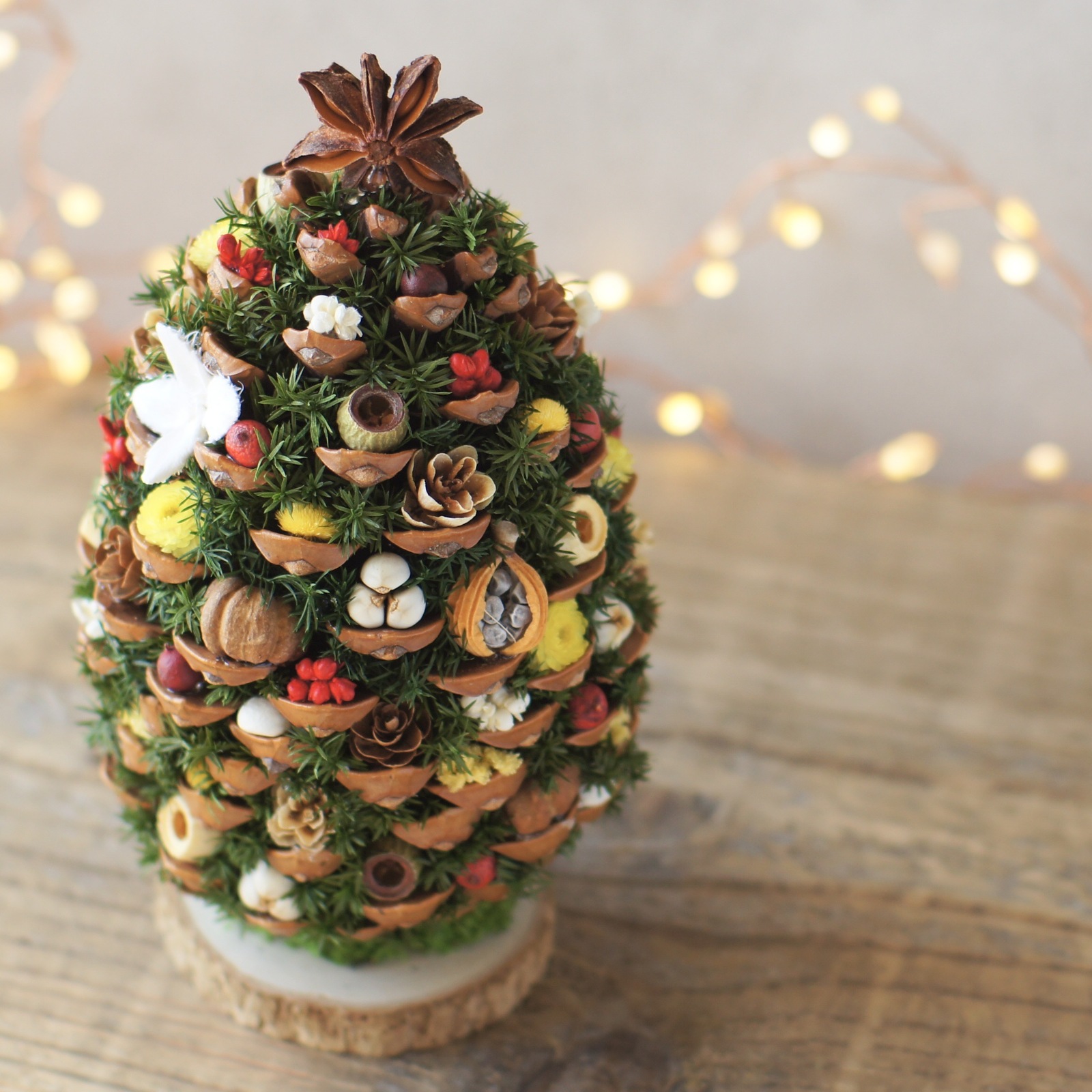 松ぼっくりのクリスマスツリーand moon