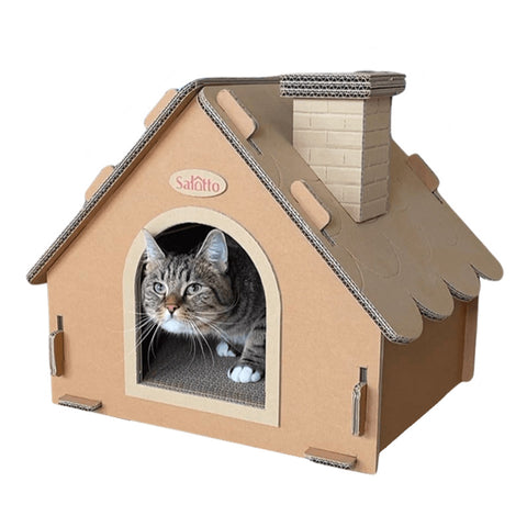 ハロウィンに黒猫が登場する意味とは？由来や仮装する理由までねこちゃんホンポ