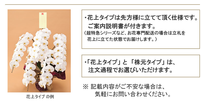 胡蝶蘭の立札の基本と注意点 – らんや T I M E S