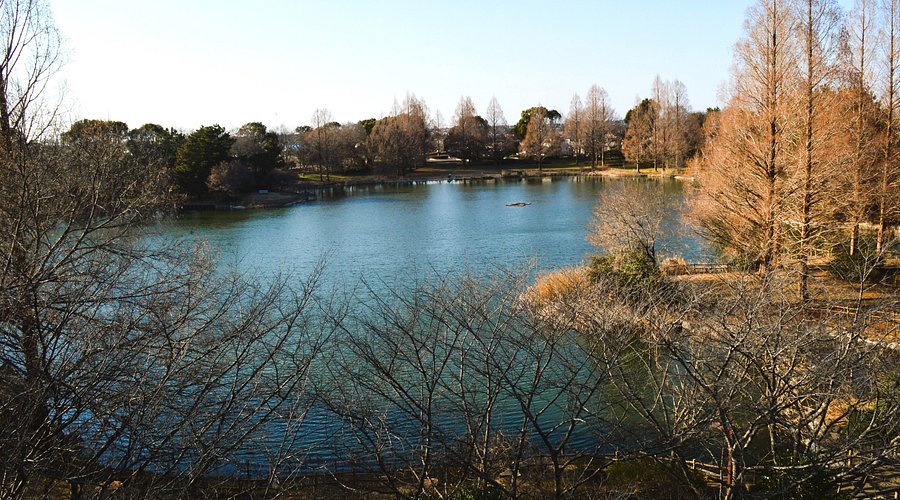 02公園の概要・来園方法松伏町
