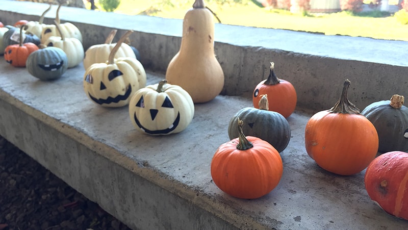 プチDIYカボチャでジャック・オー・ランタンを作ろう！アンジェ日々のコラム