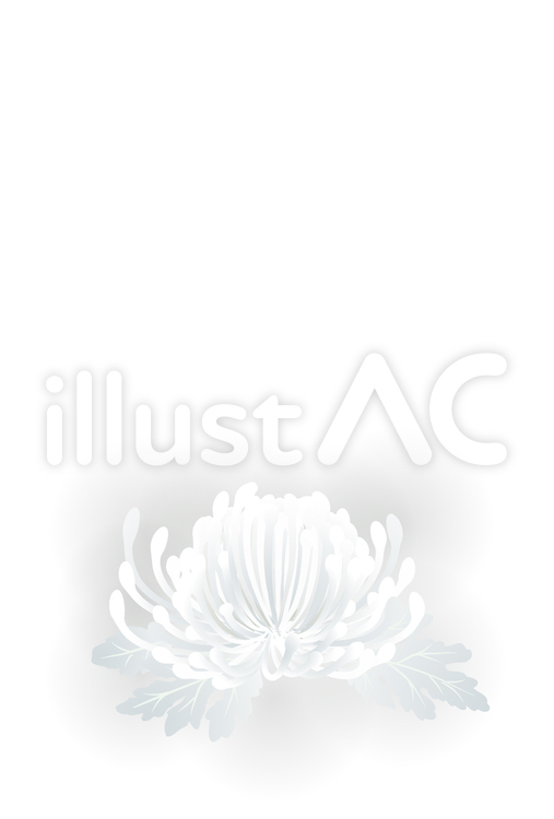 楽天市場 喪中 はがき 寒中見舞い 葉書 年末 年始 ハガキ 和紙 和風 冬 イラスト 無料 年賀欠礼 戒名 年賀状 御礼 挨拶状 FPS-604 菊 キク 福井朝日堂: F. A. Greetings