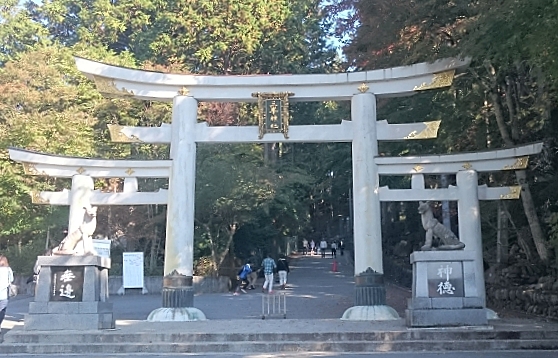 神秘的な連なる鳥居をくぐれば白狐がズラリ！「佐助稲荷神社」 - Toho Shonan エスプレッソ