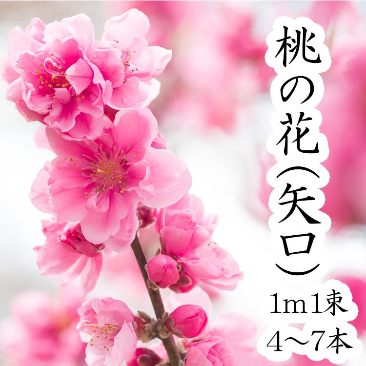 ひな祭りに♪桃の花＆春色フラワー！飾り方アイデア♡週末に飾りたい花！花 のある暮らしのレシピ集♪フランススタイルのフラワー教室ビアンカキャンディ～辻堂・藤沢・茅ヶ崎～