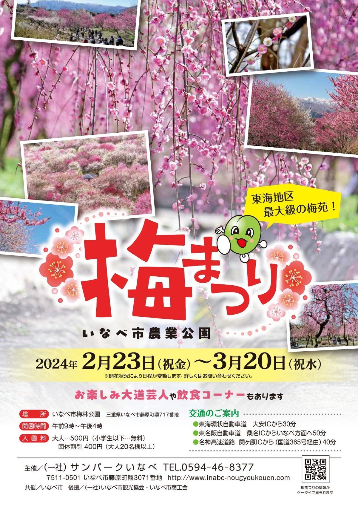色とりどり梅の花 いなべ市農業公園梅林「梅まつり」2025年見頃時期と開花状況・アクセスと駐車場 三重県いなべ市カタスミ日記