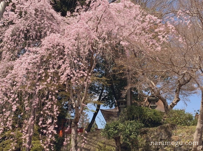 お取引先への残暑見舞いに選びたい贈り物12選贈る時期とマナーの確認 - 三越伊勢丹法人オンラインギフト