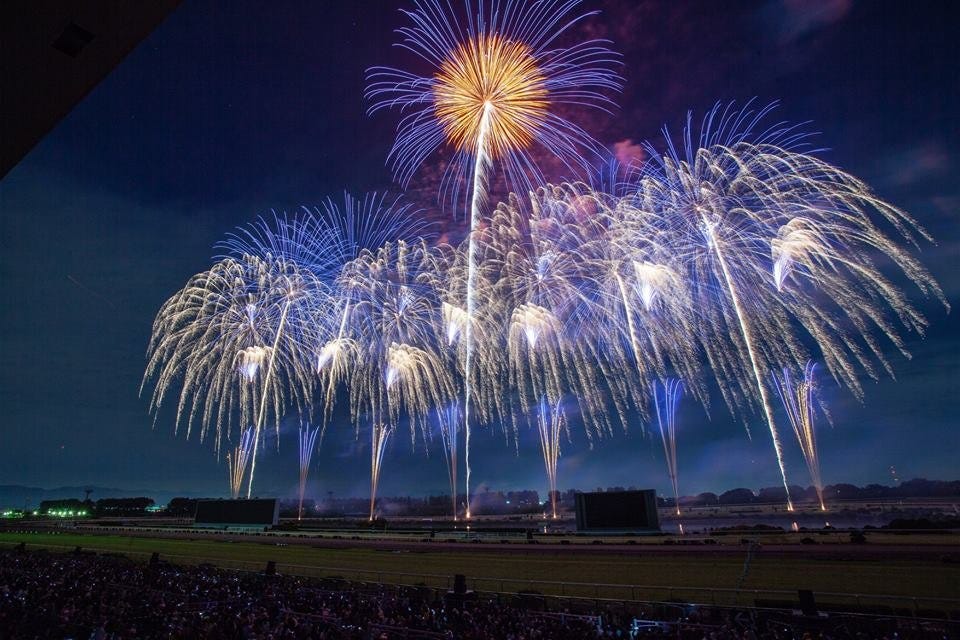 競馬場を一夜限りの花火劇場に」。 京都芸術花火 京都府京都市ONESTORY
