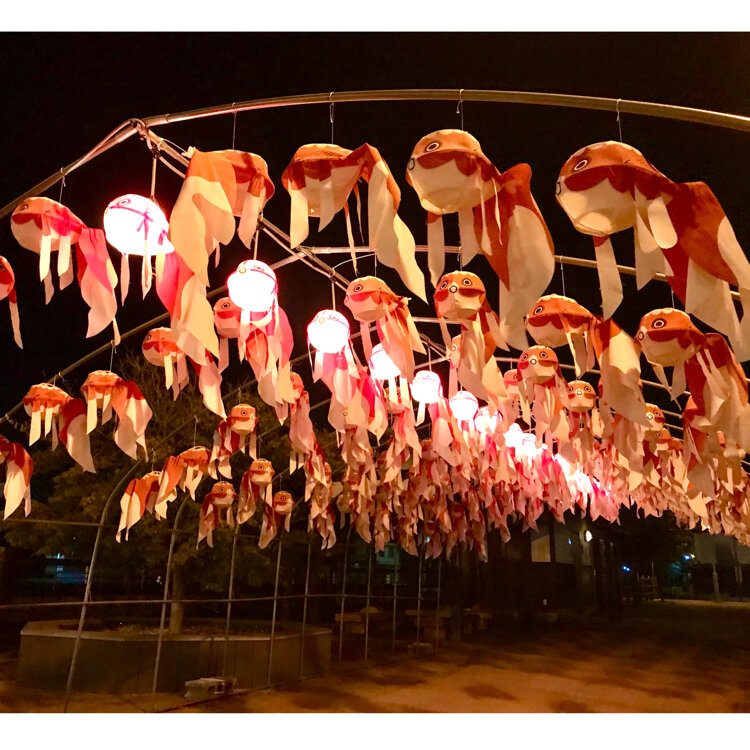 世界一かわいいちょうちんのお祭り 柳井金魚ちょうちん祭り地方創生メディア Mediall メディアール