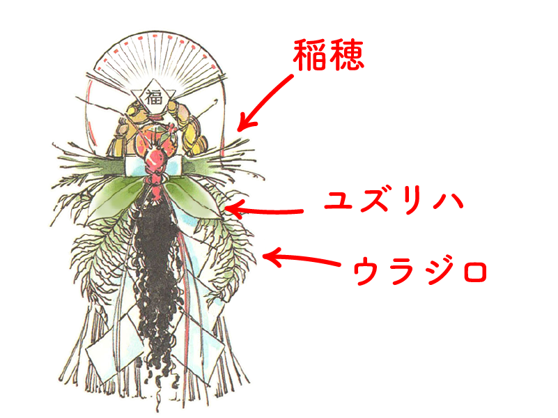 お正月飾りに欠かせない「ウラジロ」生薬ものしり事典元気通信養命酒製造株式会社