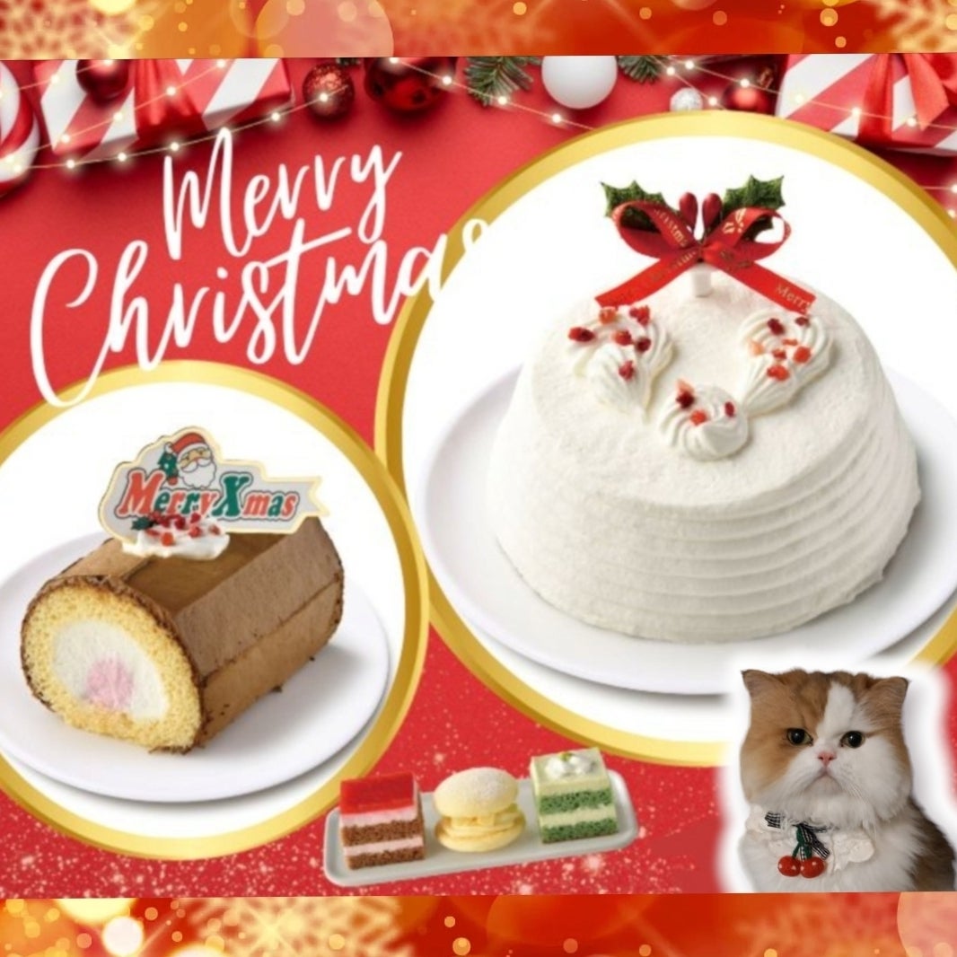 ねこ型チーズケーキ専門店「ねこねこチーズケーキ」のクリスマスケーキ、“肉球”マドレーヌ付きも - ファッションプレス