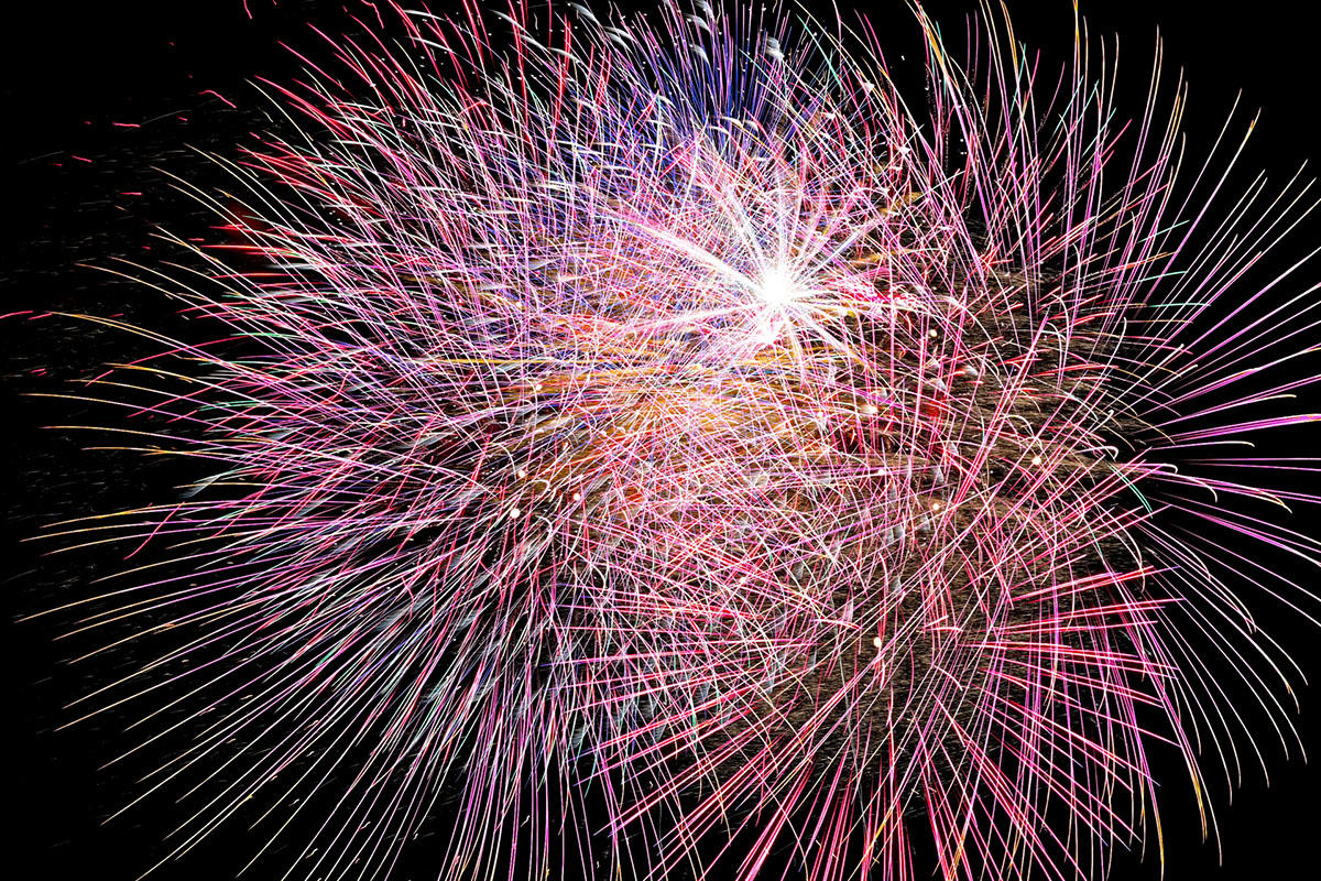 京アニ作品「聲の形」舞台の岐阜・大垣市で追悼の花火 36人の犠牲者悼む毎日新聞