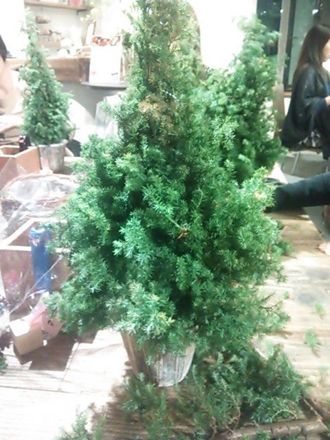 青山フラワーマーケット」ホリデーシーズンのフラワーギフト！自分に、大切な人に贈りたいkufura クフラ 小学館公式