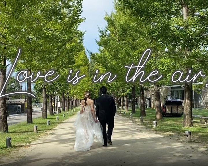 オープニングムービー グレイテスト結婚式 ムービー オープニング– 結婚式準備サイトCORDY コーディ