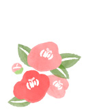 お歳暮っくす 送付状・お礼状・封筒-A4サイズ