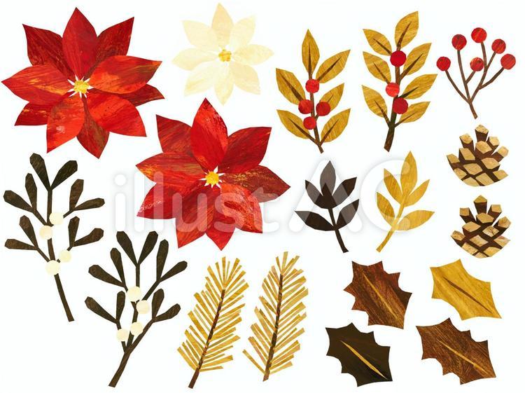 真っ赤な葉っぱ！？これだけでクリスマス気分♪♪♪ - ビオスの丘