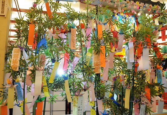 願い事のクセが強い 」 家族みんなで、七夕の短冊を書くと？ 内容に抱腹絶倒 – grapeグレイプ