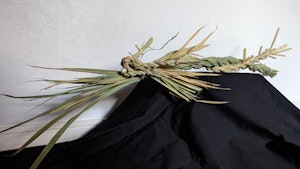 ナチュラルスタイルしめ縄飾りワークショップイベント一覧かながわ 横浜観光ならアットヨコハマ 公式