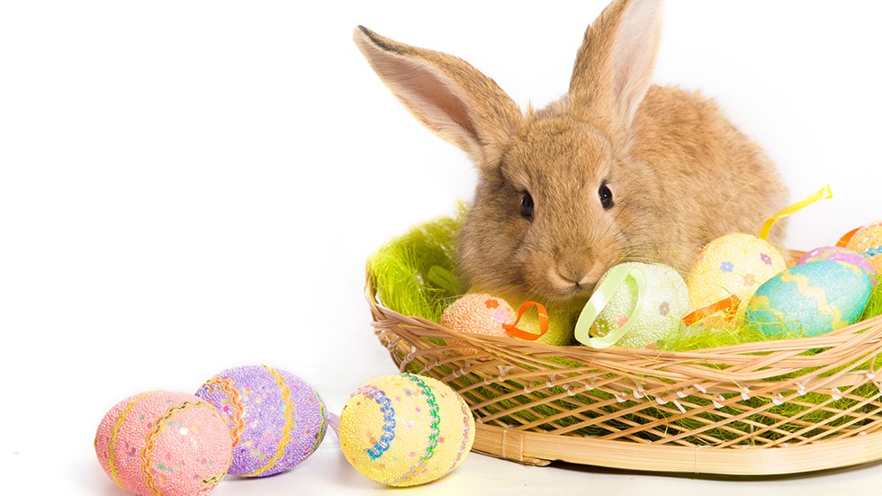2023 春のイベント「イースター」を楽しもう！お出掛け先やスイーツが満載Shufoo!プラス